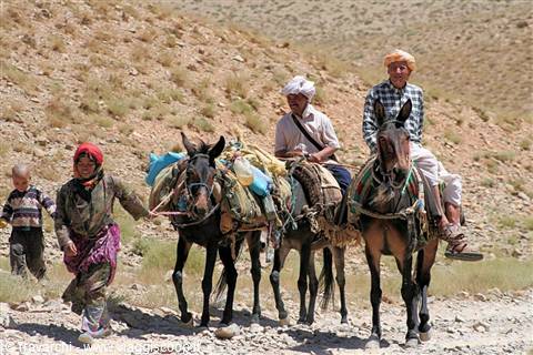 berbere in montagne di marocco