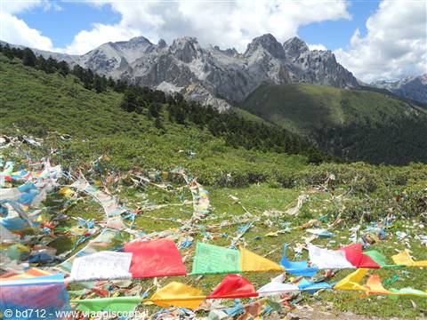 colle a 4500 m - Sichuan