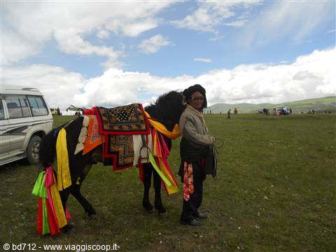 nomade in festa