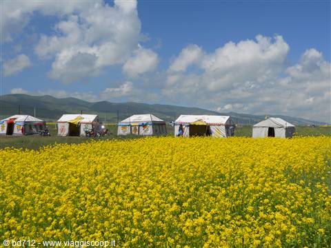 accampamento nei pressi del lago Qinghai - Hu