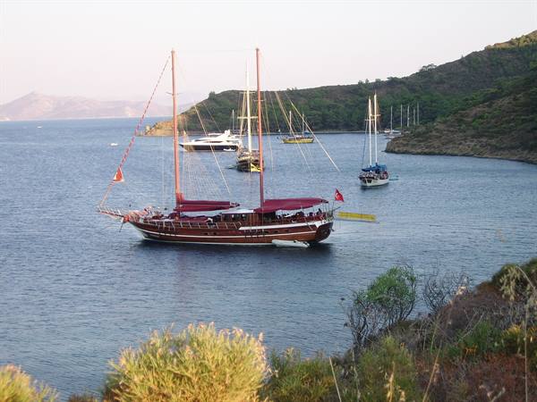 Aktur