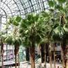 winter garden STATI UNITI D'AMERICA 