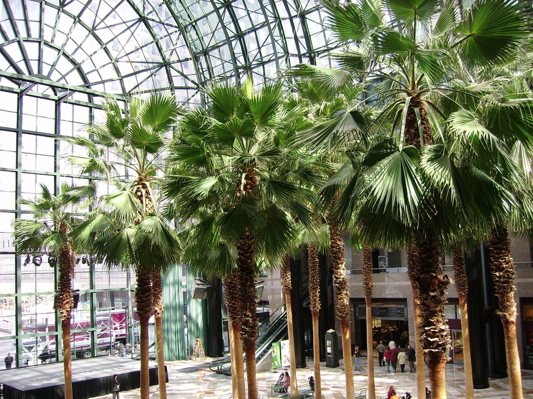winter garden