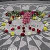 strawberry fields...  STATI UNITI D'AMERICA 
