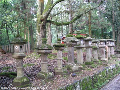 Lanterne a Nara