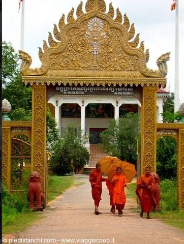 cambogia