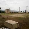Tempio di Zeus GRECIA 