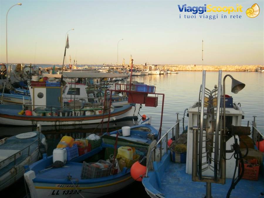 Portoi dei pescatori