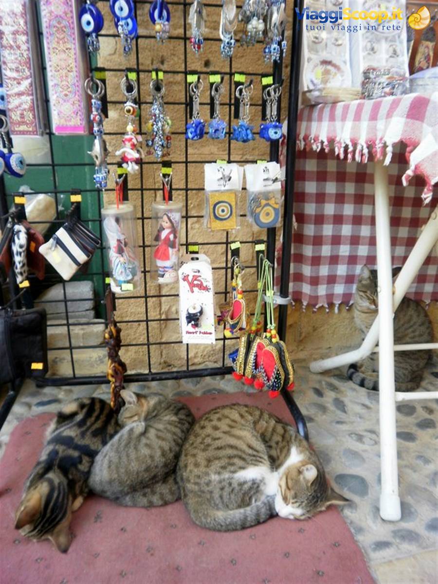 Nicosia parte turca