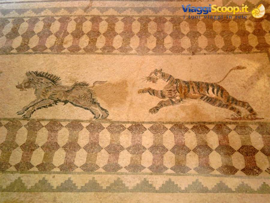 Kato Paphos sito archeologico-mosaici