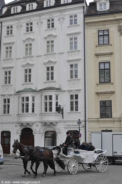 Am Hof