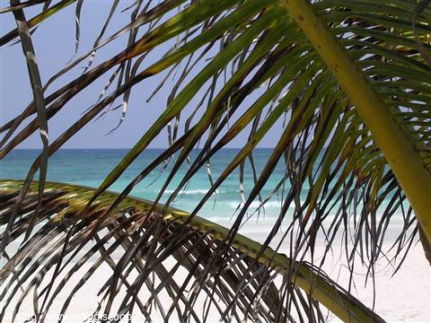 Playa Copacabana