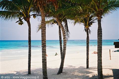 "Playa del Carmen"