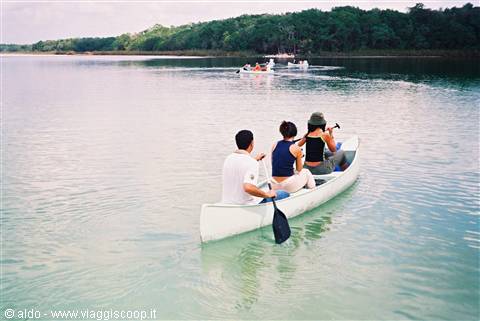 "In canoa in foresta"