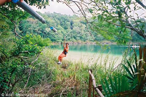 "In foresta"