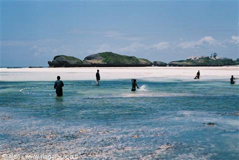 "Watamu"