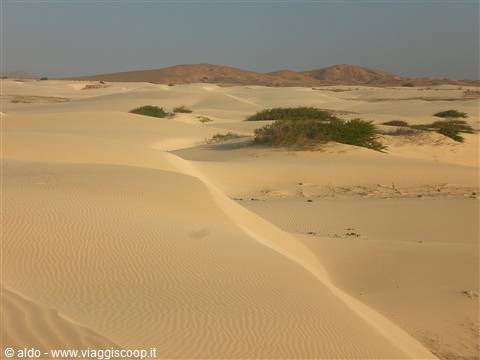 Deserto De Viana