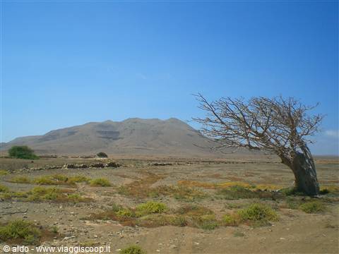 Pico Estancia