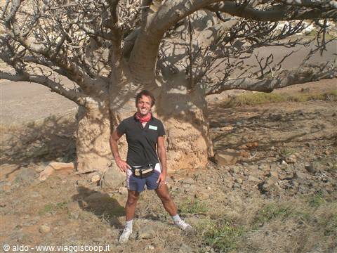 Io sotto al Baobab