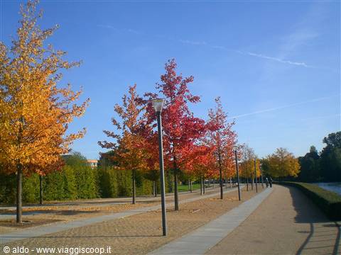 L'autunno sulla Sprea