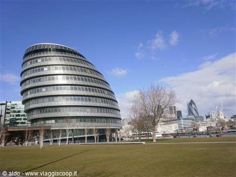 The egg