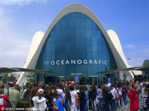 Oceanografico