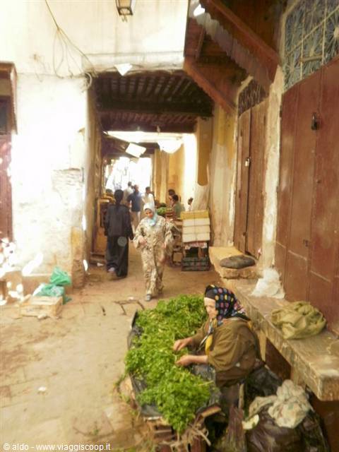 medina