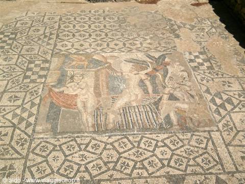 volubilis mosaici