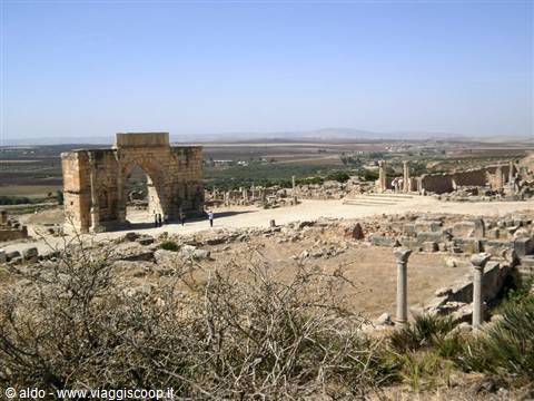 volubilis veduta
