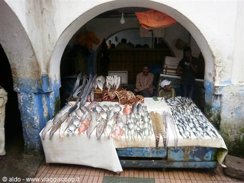 suk del pesce