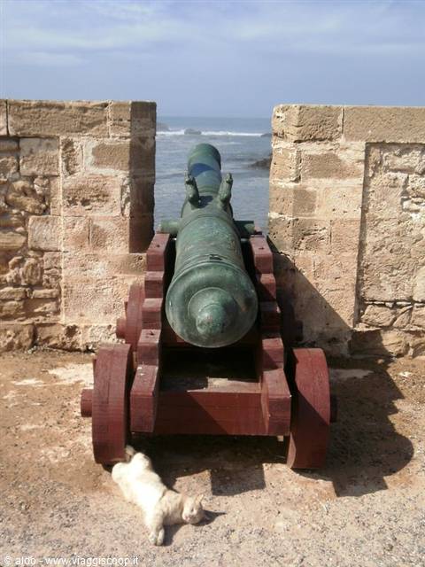 dolce riposo all'ombra del cannone