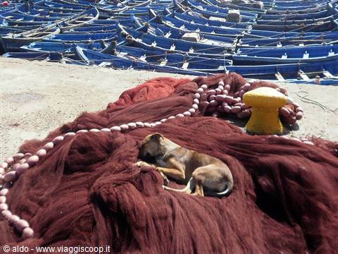 dolce riposo