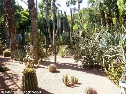 giardini majorelle