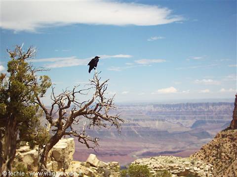 Grand Canyon