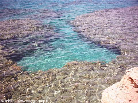 La barriera corallina