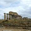 Selinunte - Il Tempio C dell'Acropoli ITALIA 