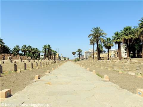 Luxor - Il Tempio di Amon Ra