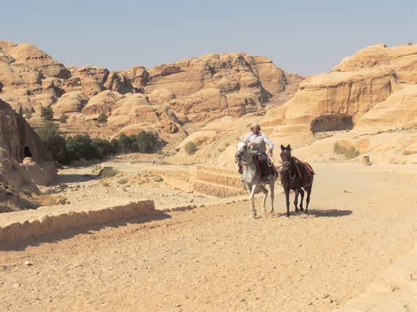 Petra - Ingresso