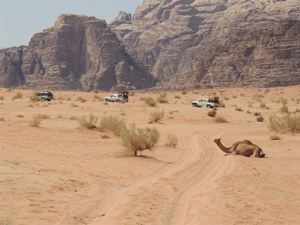 Il deserto del Wadi Rum
