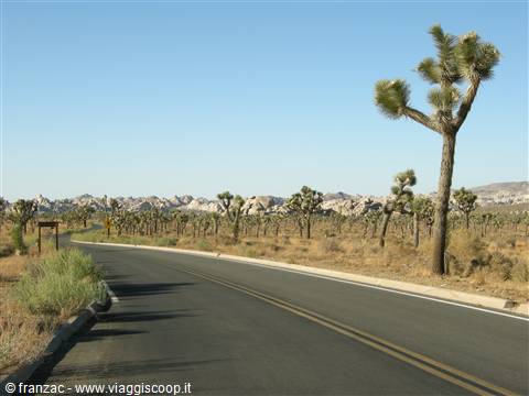 Joshua Tree National Park