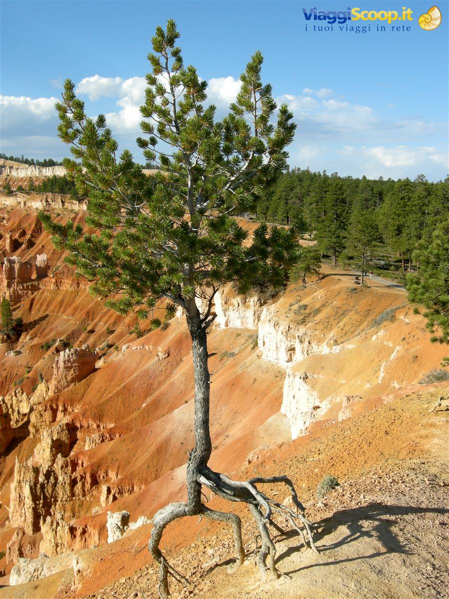 Bryce Canyon
