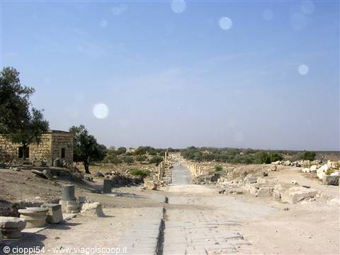 gadara