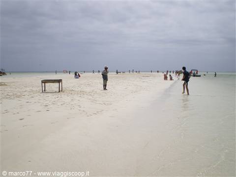 IL MARE