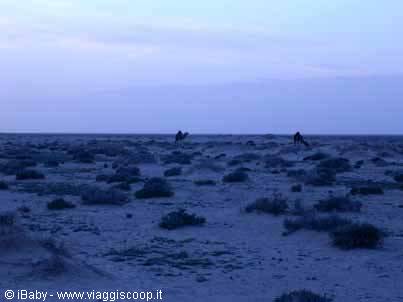 Deserto di sera