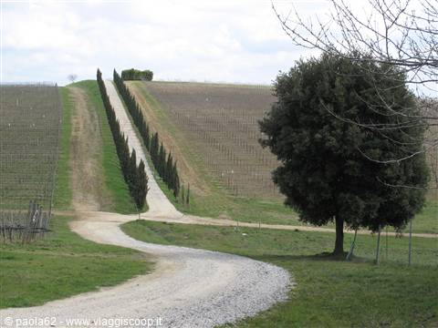 panorama Chianti senese