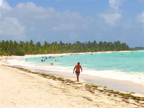 SAONA