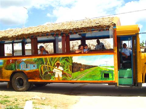 DOMINIBUS