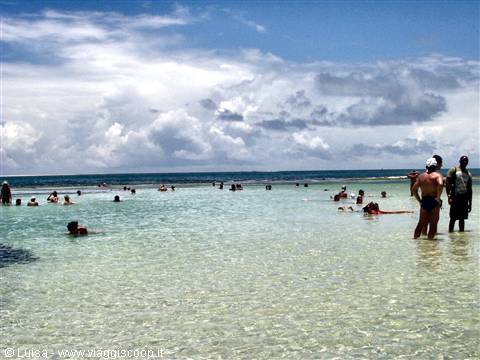 Le piscine naturali