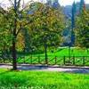 I Giardini ITALIA 