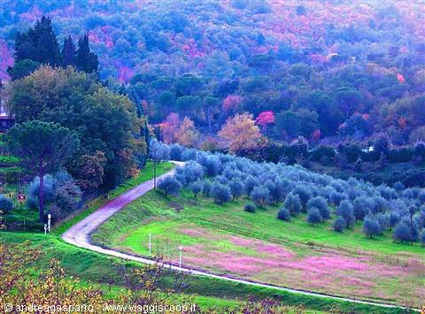 Campagna senza.........